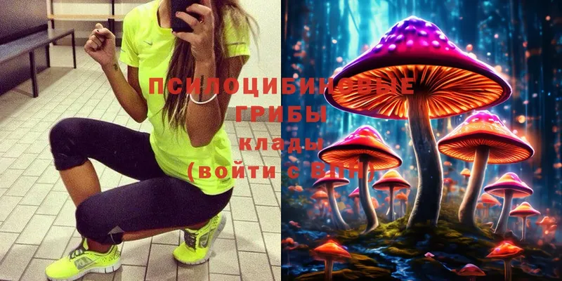 Псилоцибиновые грибы MAGIC MUSHROOMS  где можно купить наркотик  MEGA рабочий сайт  Йошкар-Ола 